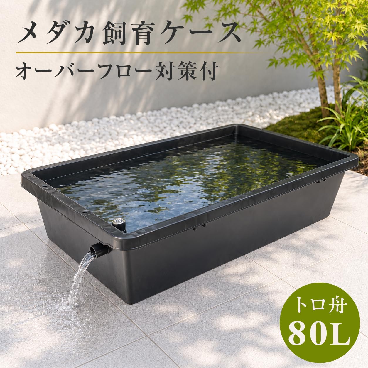 Amazon | 五色アクア 大型メダカ飼育ケース 80リットル 黒